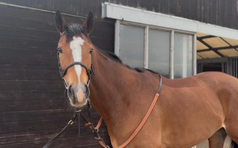 Starsong Claims Impressive Victory at Nottingham